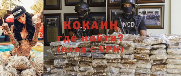 гидра Снежногорск