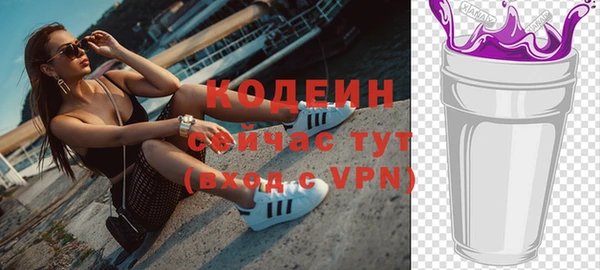 гидра Снежногорск